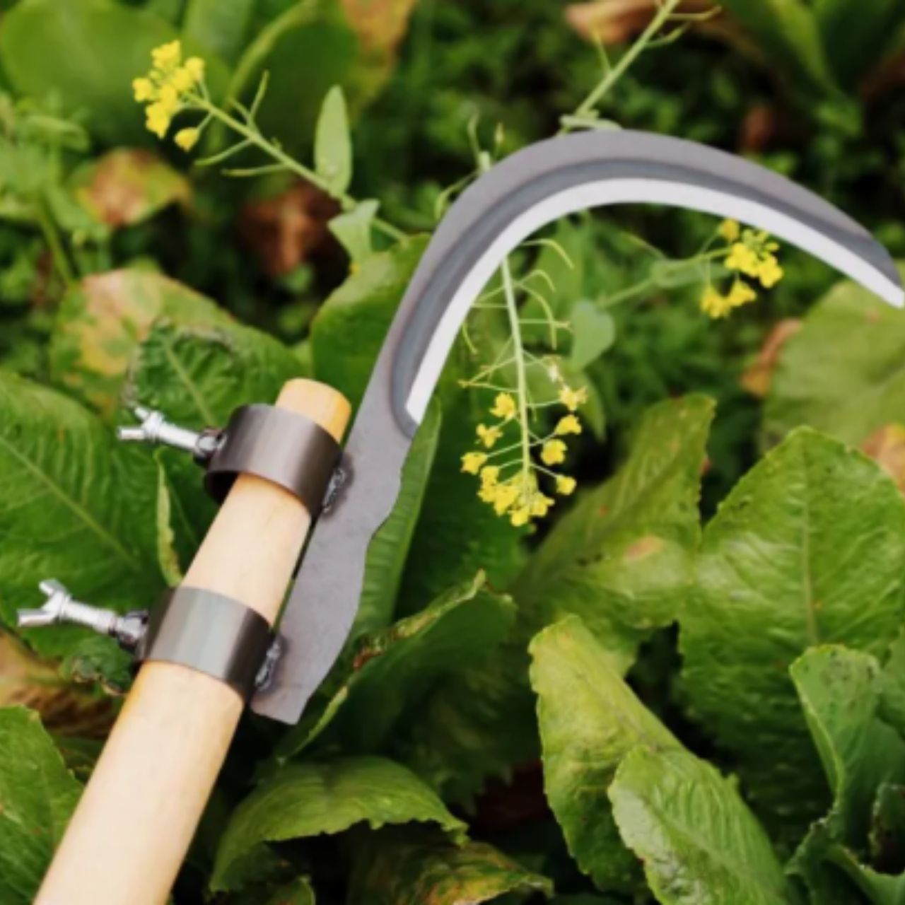 AgroTool, narzędzie do cięcia gałęzi, chwastów, cierni i roślinności - Image 10