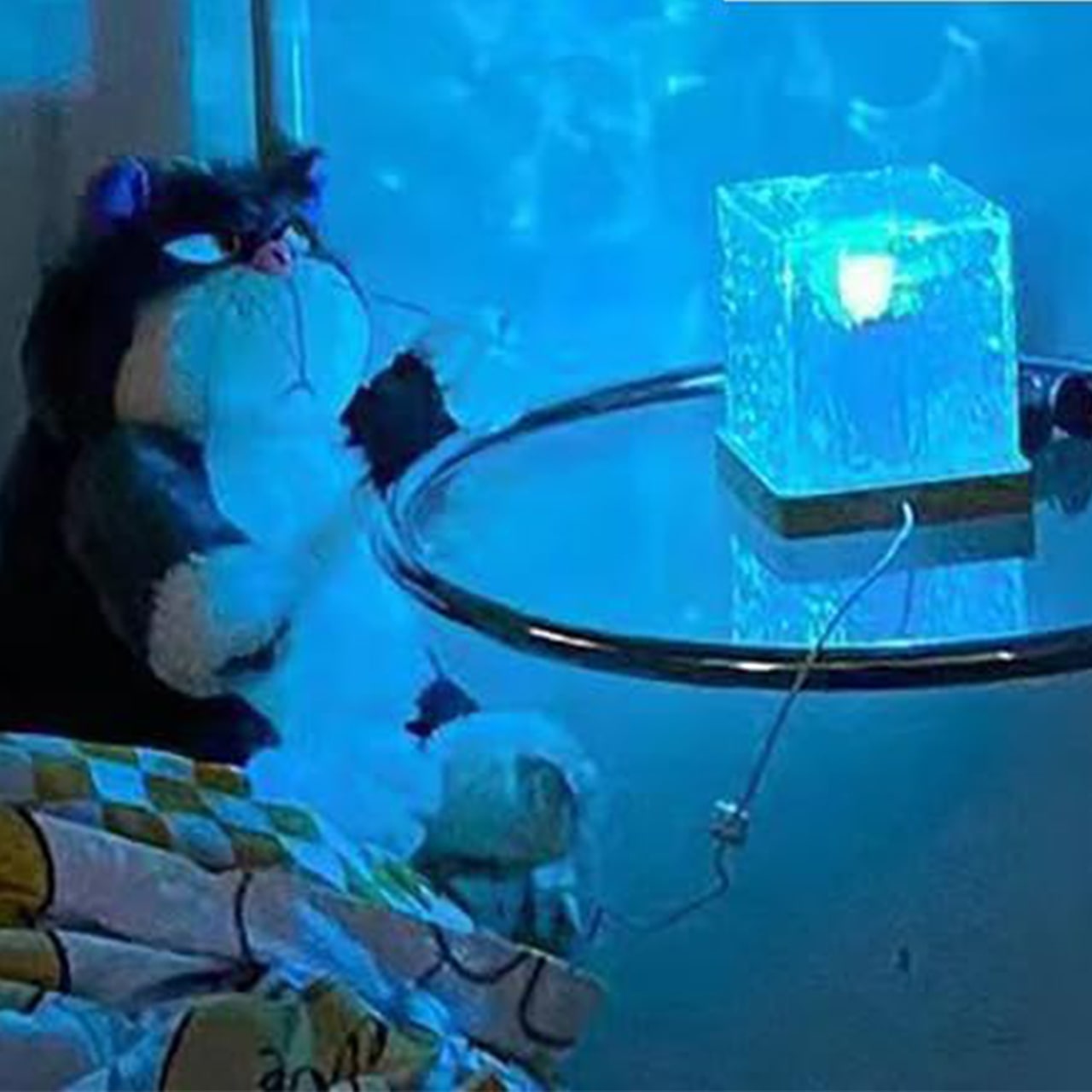 AuroraBorealis, dekoracyjna lampa z efektem zorzy polarnej - Image 5