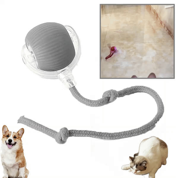 DOGTOY, ChewiePlay interaktywna piłka - video