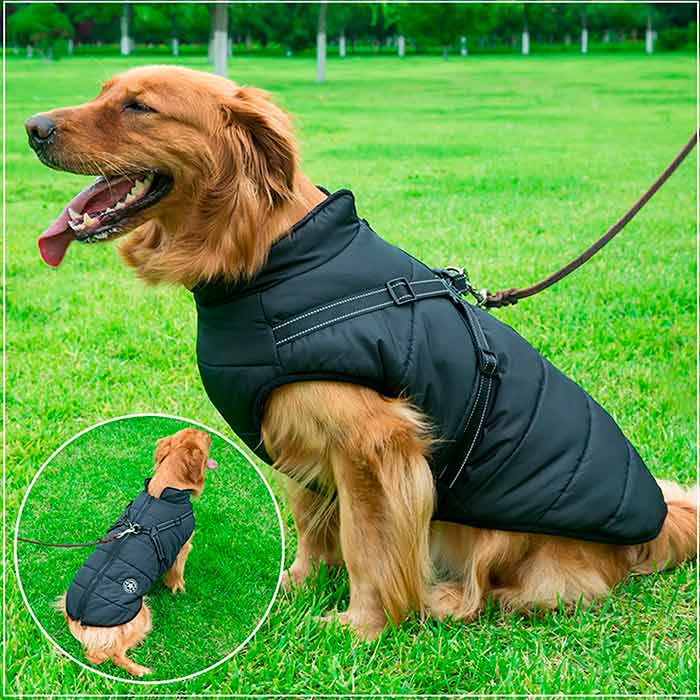 DogJacket, odblaskowy i wodoodporny zimowy płaszcz dla psów - Image 10