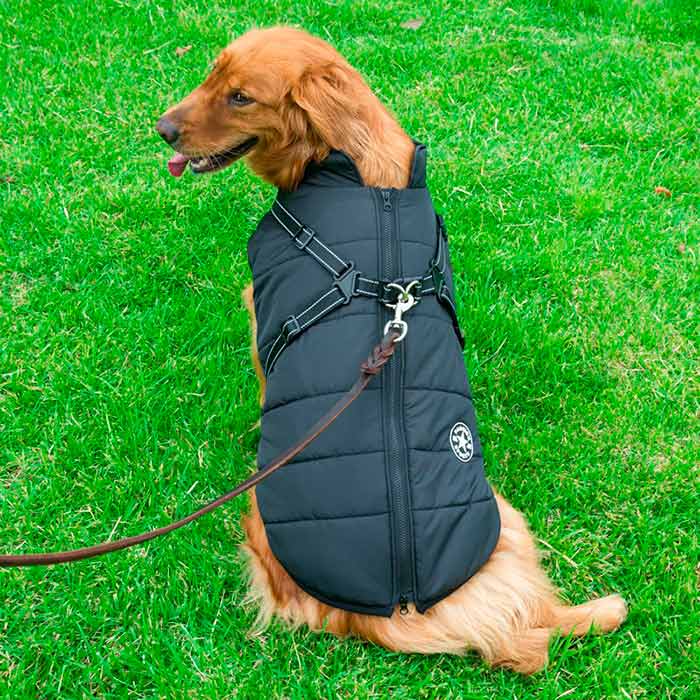 DogJacket, odblaskowy i wodoodporny zimowy płaszcz dla psów - Image 11