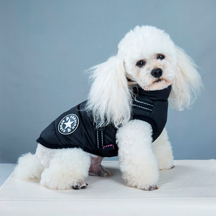 DogJacket, odblaskowy i wodoodporny zimowy płaszcz dla psów - Image 15
