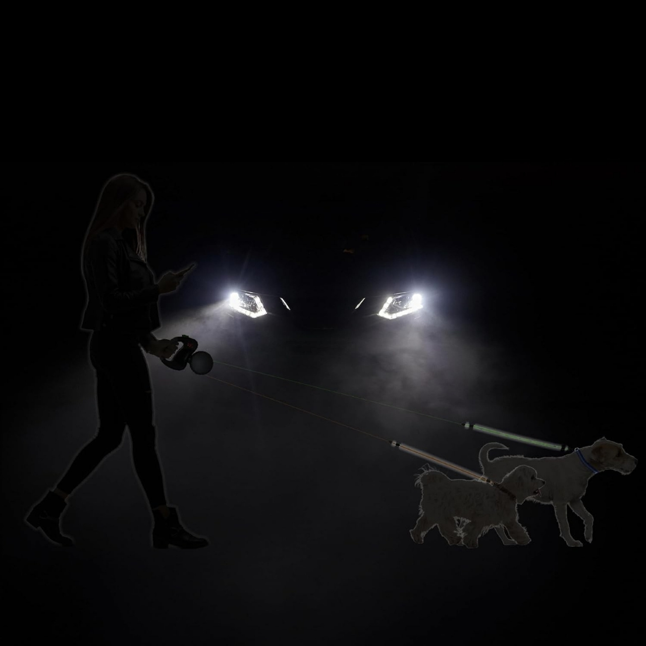 DoubleLeash, smycz automatyczna dla dwóch psów - Image 10