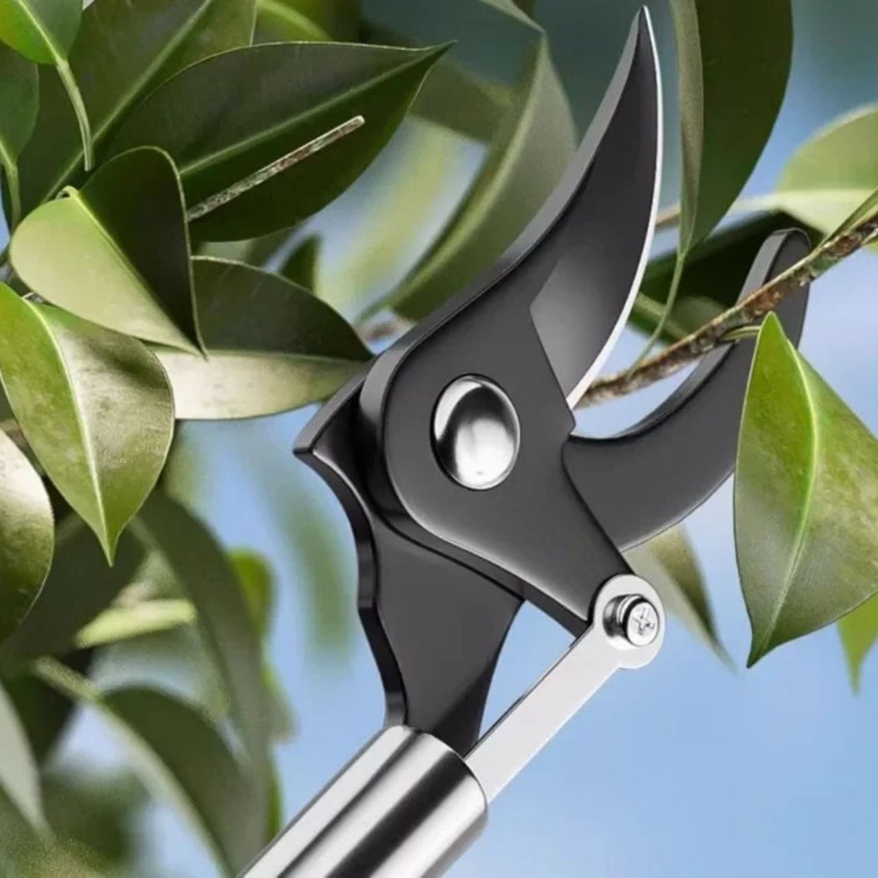LongShears, sekatory - Image 1
