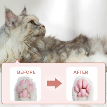 PAWTREAMER, PawPerfect Mini Trymer do Zwierząt Domowych - Image 4