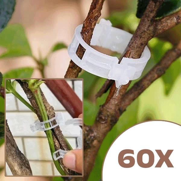 PLANTCLIP, GreenGrow Wsparcie dla Roślin - 60 Klipsów - video