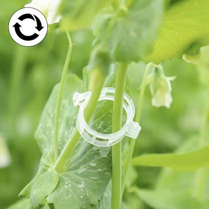 PLANTCLIP, GreenGrow Wsparcie dla Roślin - 60 Klipsów - Image 4