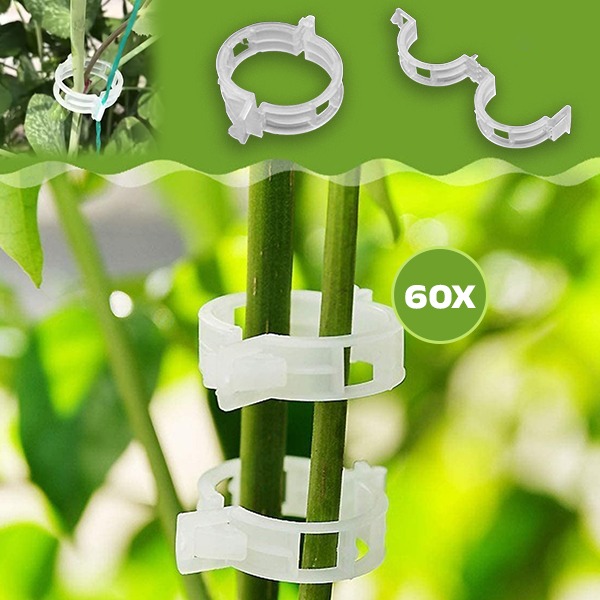 PLANTCLIP, GreenGrow Wsparcie dla Roślin - 60 Klipsów - Image 5