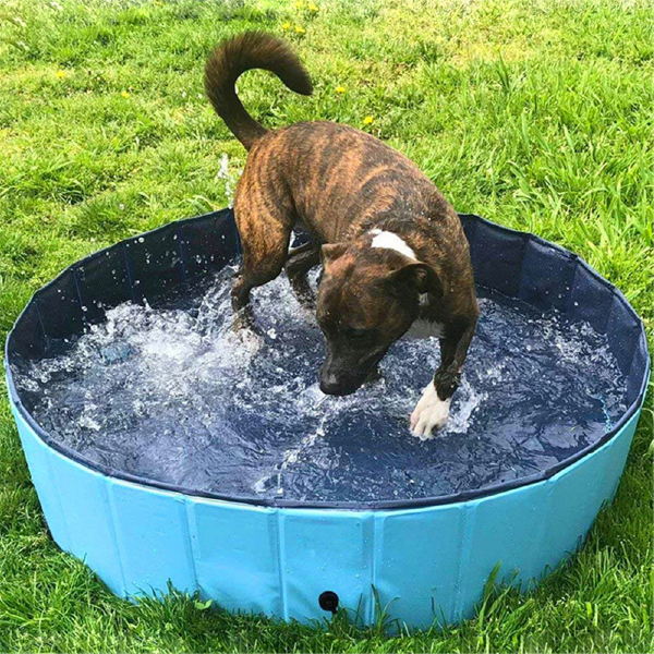 PawlyPool, składany basen dla dzieci i zwierząt - Image 1