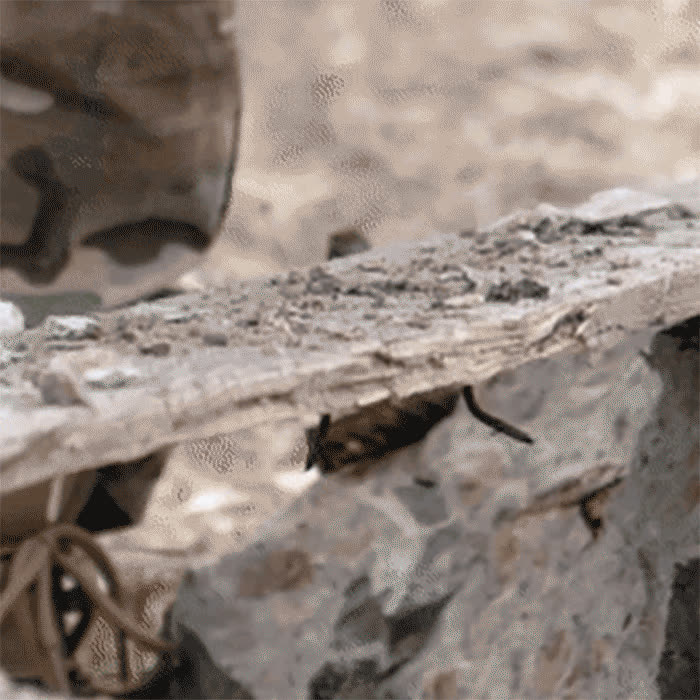 ProtectiveGloves, wysokiej jakości taktyczne rękawice ochronne - video