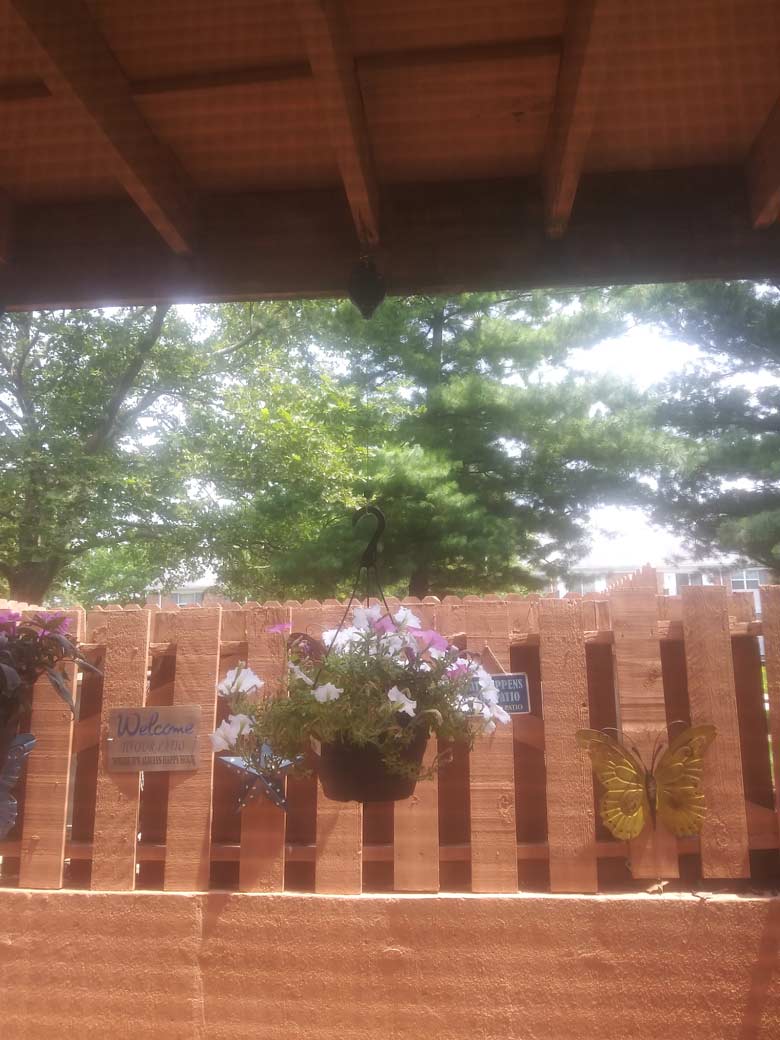 PullGarden, komplet 2 kljuk za viseče rastline z raztegljivim trakom - Image 10