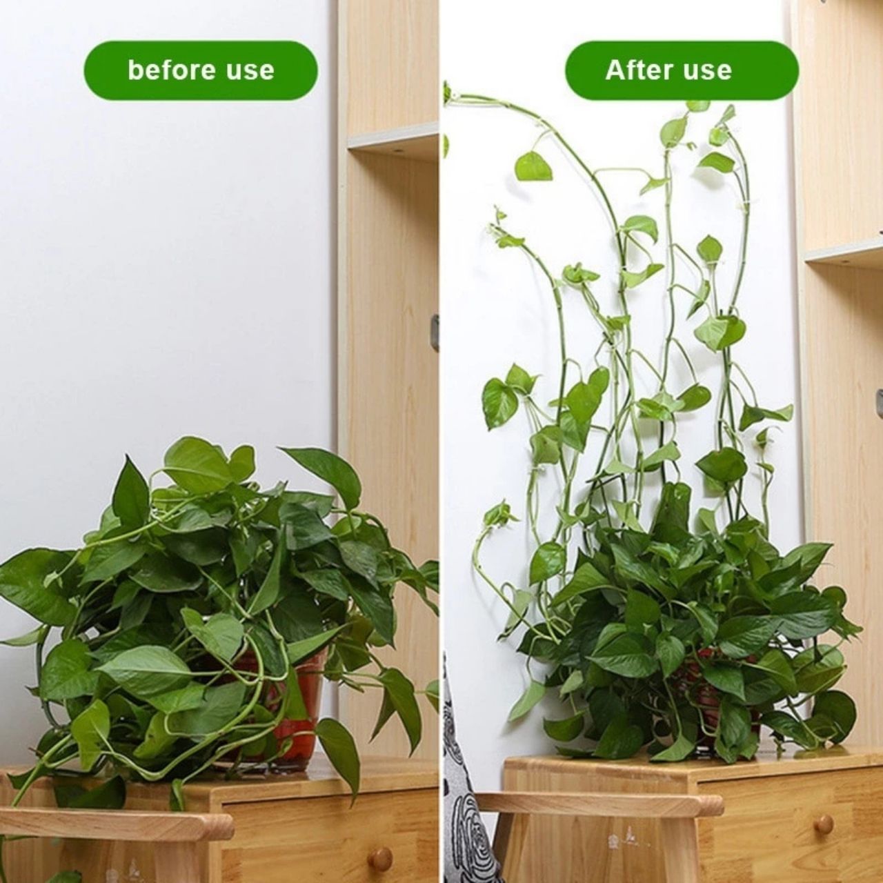 Vines, samoprzylepne uchwyty do roślin i pnączy (100 sztuk) - Image 5