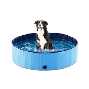 PawlyPool, składany basen dla dzieci i zwierząt