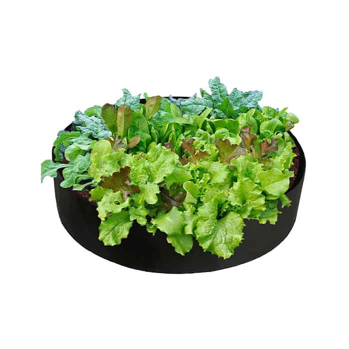 Garden GrowBag, rabatka ogrodowa wykonana z materiału zapewniającego bujny wzrost wszystkich rodzajów roślin